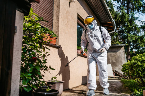 Best Pest Prevention Services  in Troup, TX