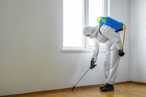Best Bed Bug Extermination  in Troup, TX