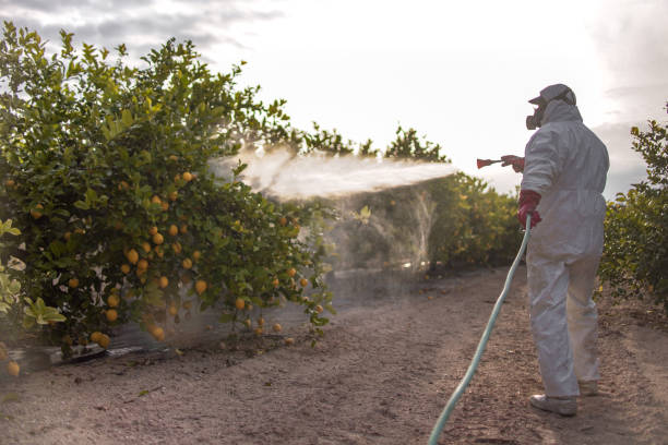 Best Cockroach Control Services  in Troup, TX